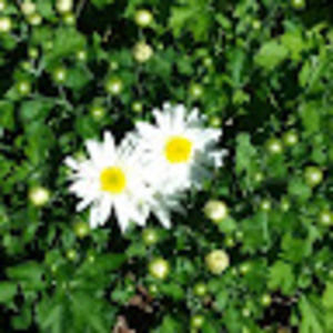 Meet your Posher, Tonya